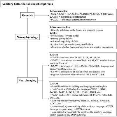 The Etiology of Auditory Hallucinations in Schizophrenia: From Multidimensional Levels